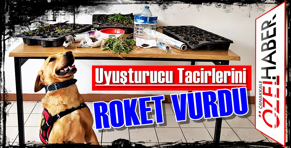 İFADE VERİP SERBEST KALDILAR..!