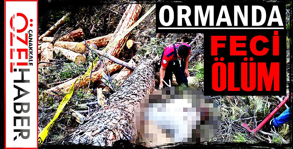 ORMAN İŞÇİSİ HAYATINI KAYBETTİ…