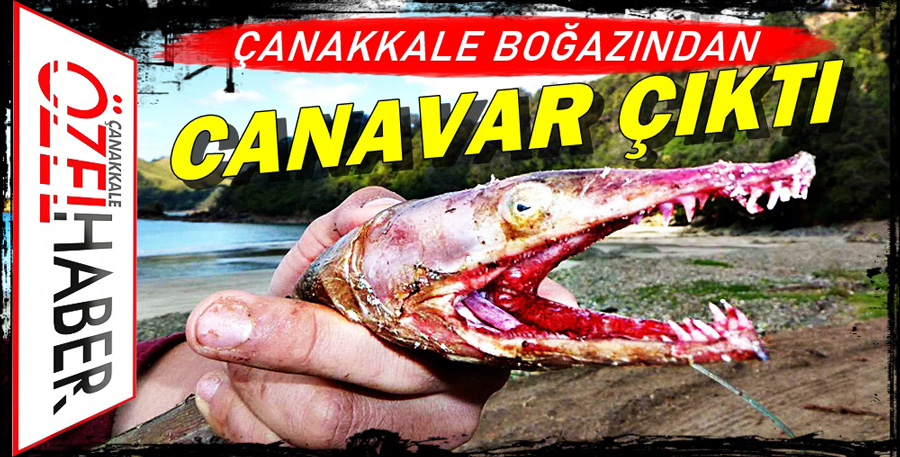 AĞDAN ÇIKAN YARATIK BALIKÇILARI BİLE KORKUTTU..!