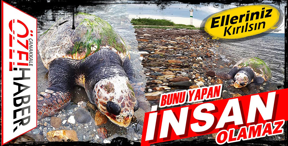 BAŞINDAN TEK KURŞUNLA KATLEDİLDİ..!