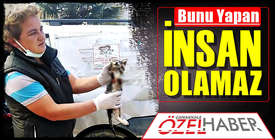 BIÇAKLA PARÇA PARÇA YAPTILAR..!