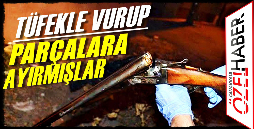 HIRSIZLARIN GÖZÜ İYİCE DÖNDÜ..!