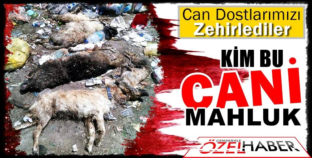 ELLERİNİZ KIRILSIN…!