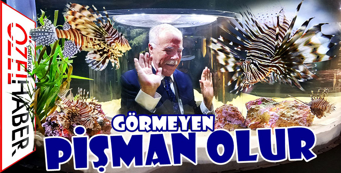 BOĞAZIN ÇOCUKLARI DENİZ İLE BÜTÜNLEŞECEK..!