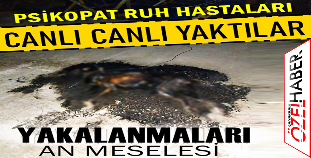 BENZİN DÖKÜP YANARAK ÖLMESİNİ İZLEDİLER..!