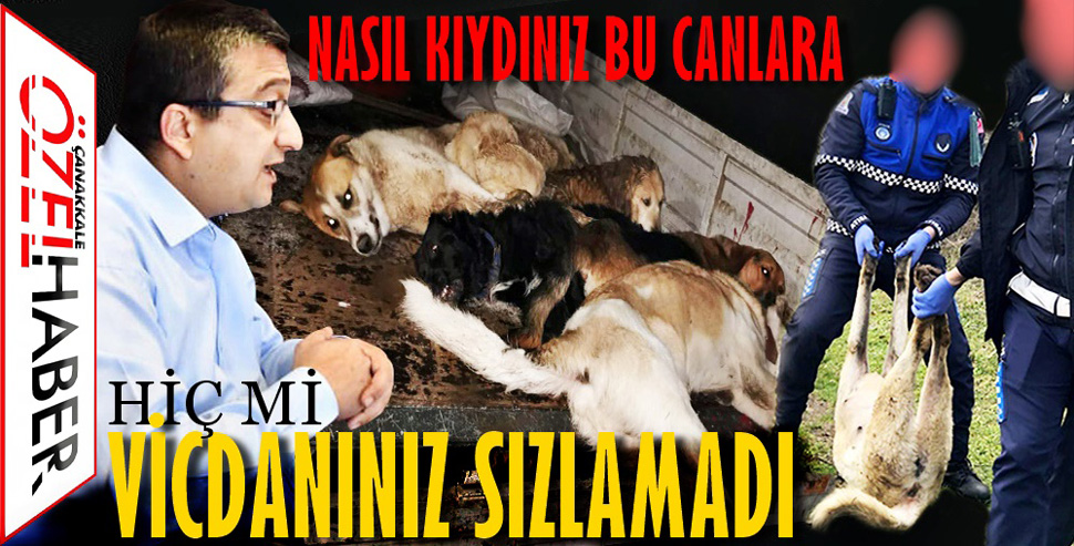 ZABITANIN GÖREVİ KÖPEK AVI MI..?