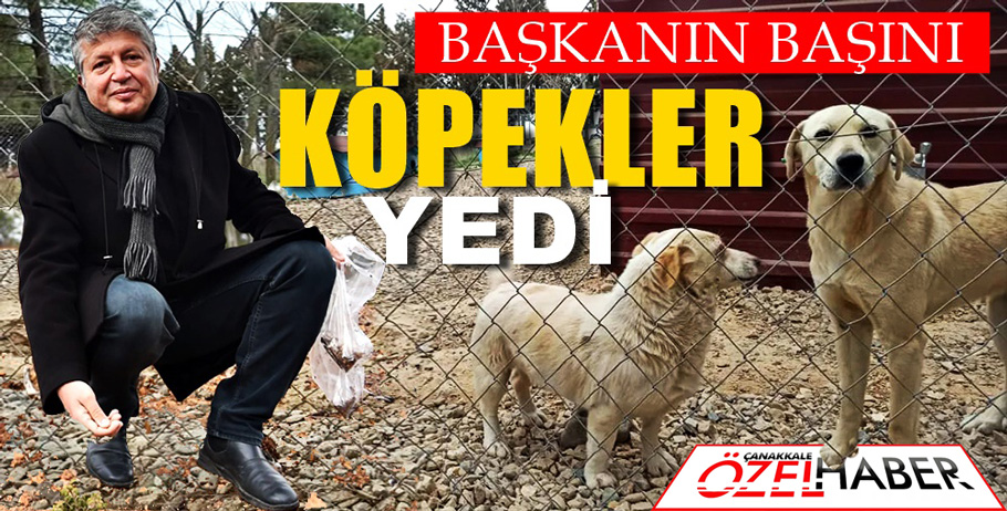 SORUŞTURMA AÇILDI, 2 YETKİLİ GÖREVDEN UZAKLAŞTIRILDI..!