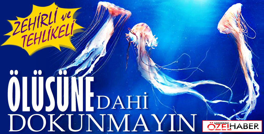 DENİZLERİN KABUSU ÇANAKKALE’DE..!