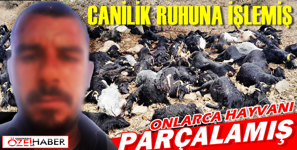 ÖNCE HAYVANLARI SONRA AİLESİNİ DOĞRADI..!