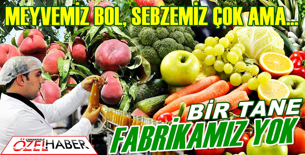 BU AYIP BİZE YETER..!
