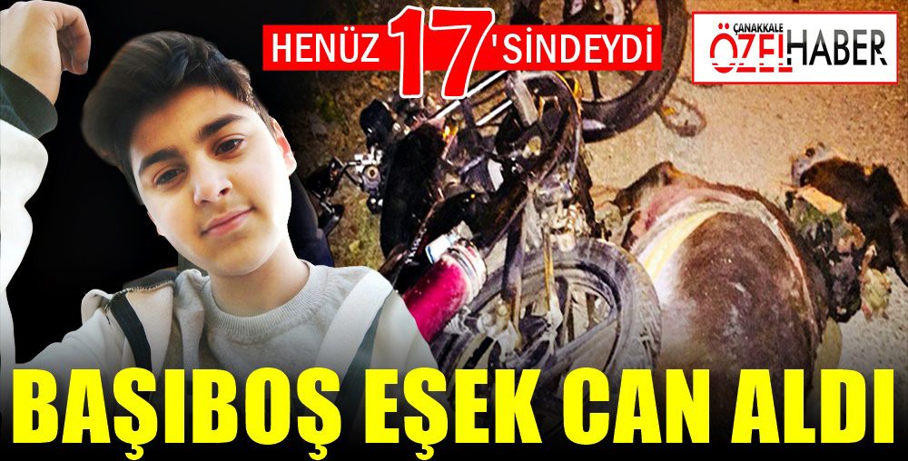 ABİ ÖLDÜ, KIZ KARDEŞİ YARALI KURTULDU..!