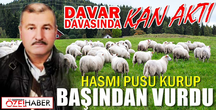 KOYUNLARIN HATASINI CANIYLA ÖDEDİ..!