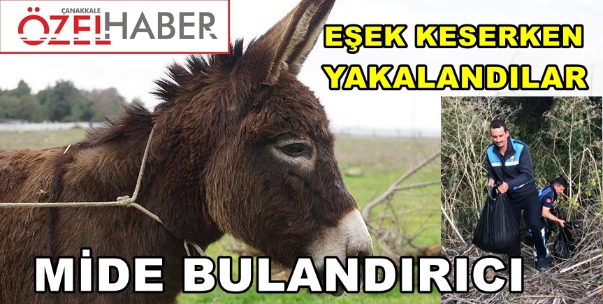 “NALLI KUZU” OPERASYONU..!