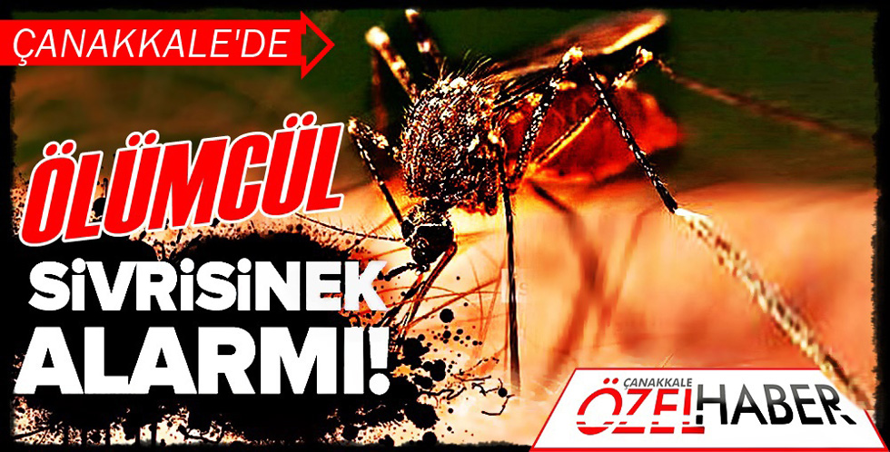 “KANATLI ÖLÜM” ÇANAKKALE’DE..!