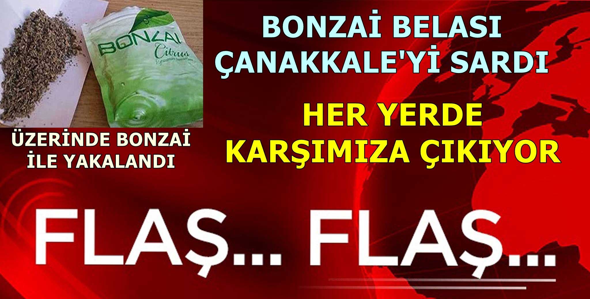 BONZAİ KABUSU ÜZERİMİZE ÇÖKTÜ