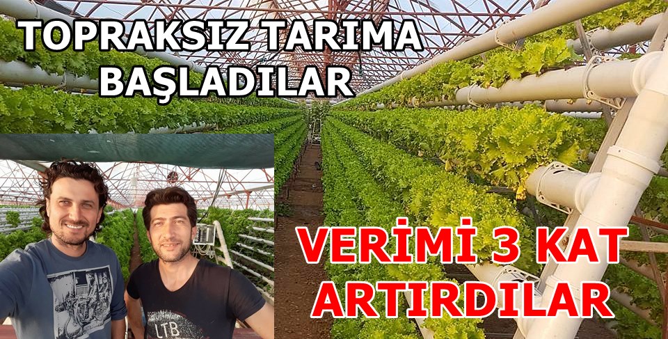 TOPRAK YOK MAHSÜL ÇOK