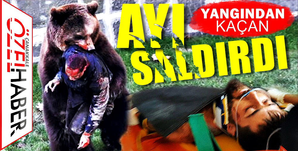 KAZDAĞLARINDA YANGIN SÖNDÜRÜRKEN AYI SALDIRDI..!