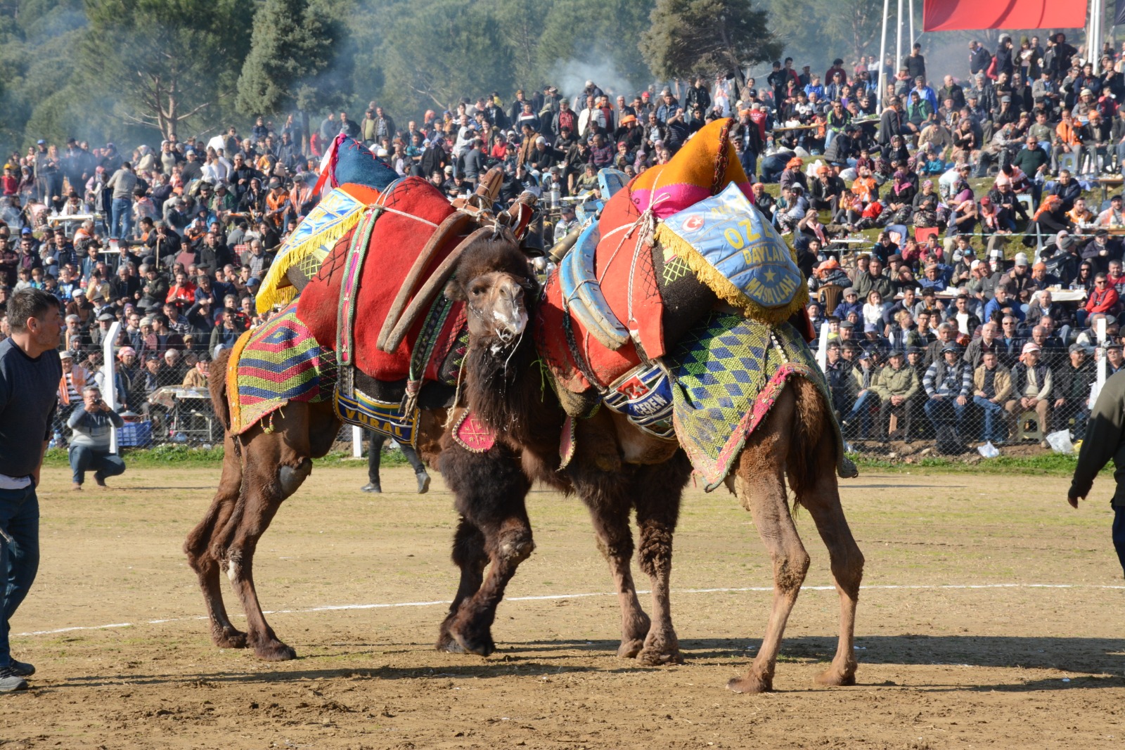 TÜLÜLER ÇAN’DA KAPIŞACAK…!