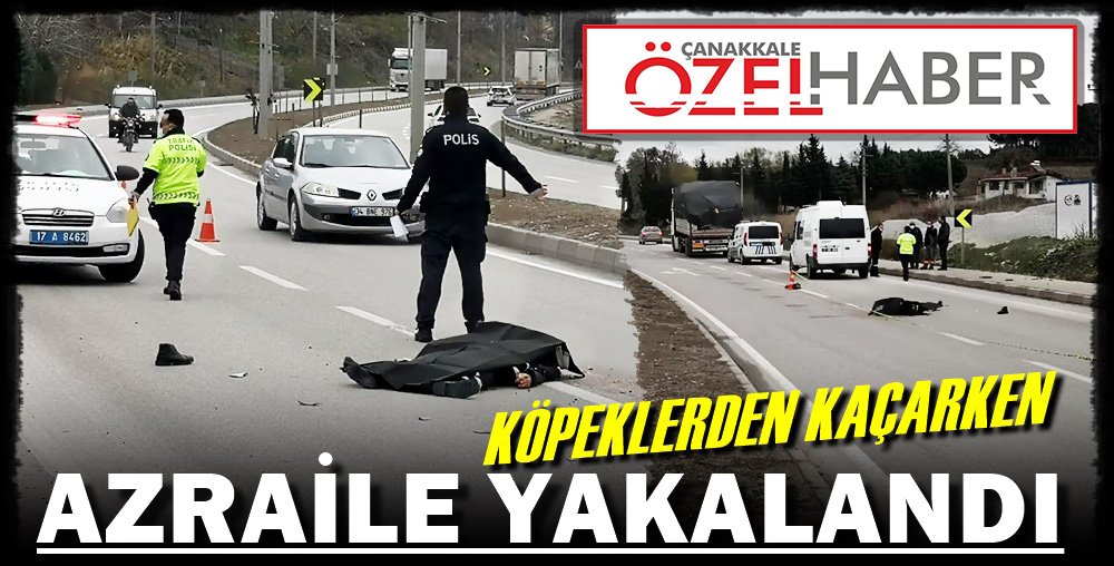 KÖPEK KORKUSU SONU OLDU…!