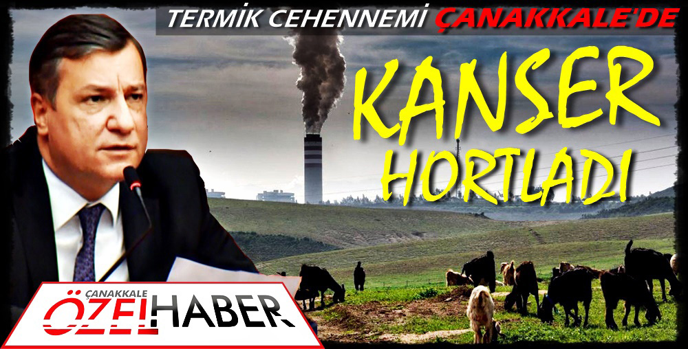 TERMİK SANTRALLERLE BİRLİKTE ÖLÜMLERDE ARTTI..!