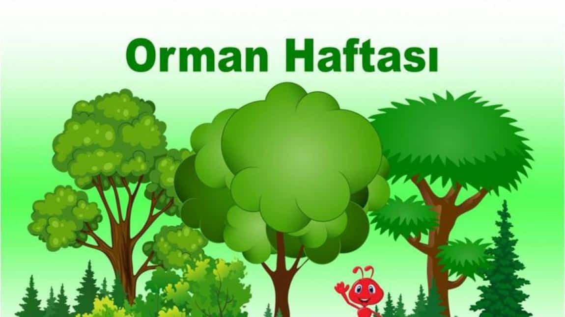 ÇOCUKLAR, ORMAN ve SU