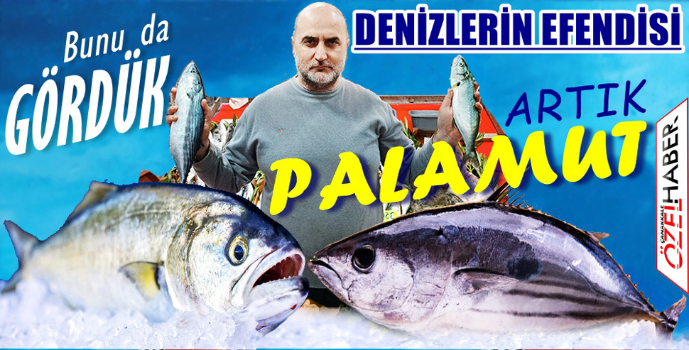 BU FİYATA LÜFER LEZZETİ KAÇMAZ..!