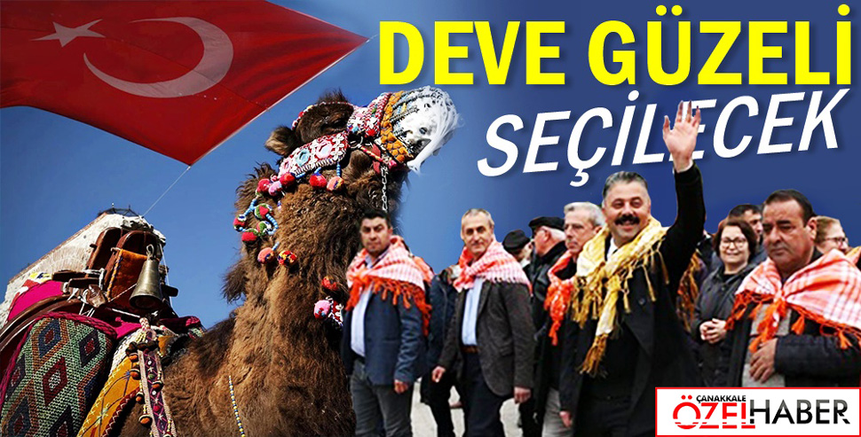 DEVELER ÖNCE YARIŞACAK SONRA GÜREŞECEK…!