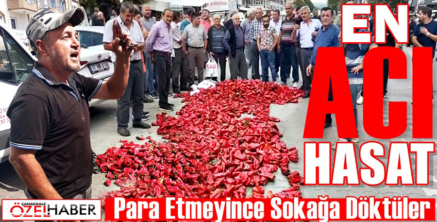 BİBER ÜRETİCİYİ YAKTI… SON UMUTLAR DA SÖNDÜ..!