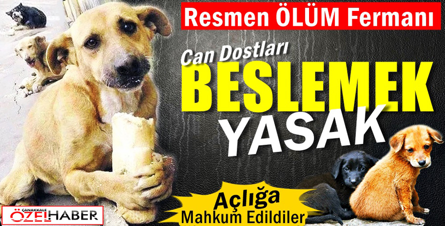 ÇANAKKALE’DE Kİ UYGULAMA TÜRKİYE’Yİ AYAĞA KALDIRDI..!