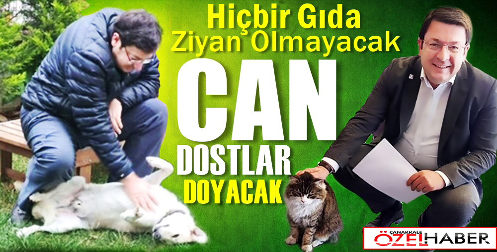 BELEDİYE SOKAK HAYVANLARI İÇİN MAMA ÜRETECEK..!