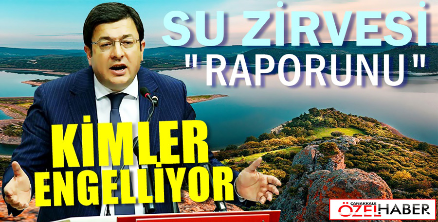 BİN PINARLI İDA’YI YOK ETMEK İHANETTİR..!