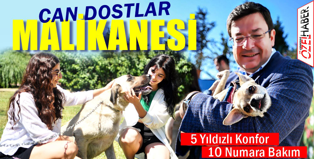 CAN DOSTLAR BAKIM VE REHABİLİTASYON MERKEZİ HİZMETE AÇILDI..!