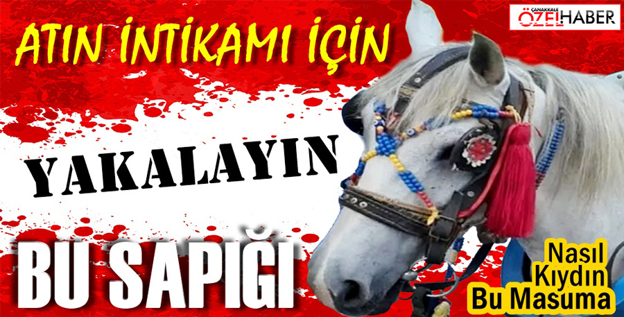 DETAYLAR KORKUNÇ… BUNU YAPAN İNSAN OLAMAZ..!